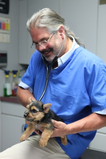 Early Care of the Puppies