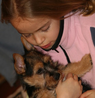 Early Care of the Puppies