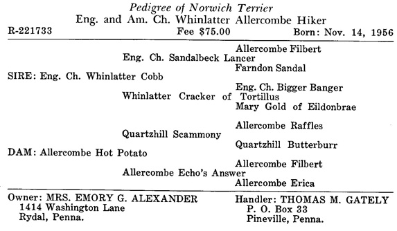 Highwood Norwich Terrier History